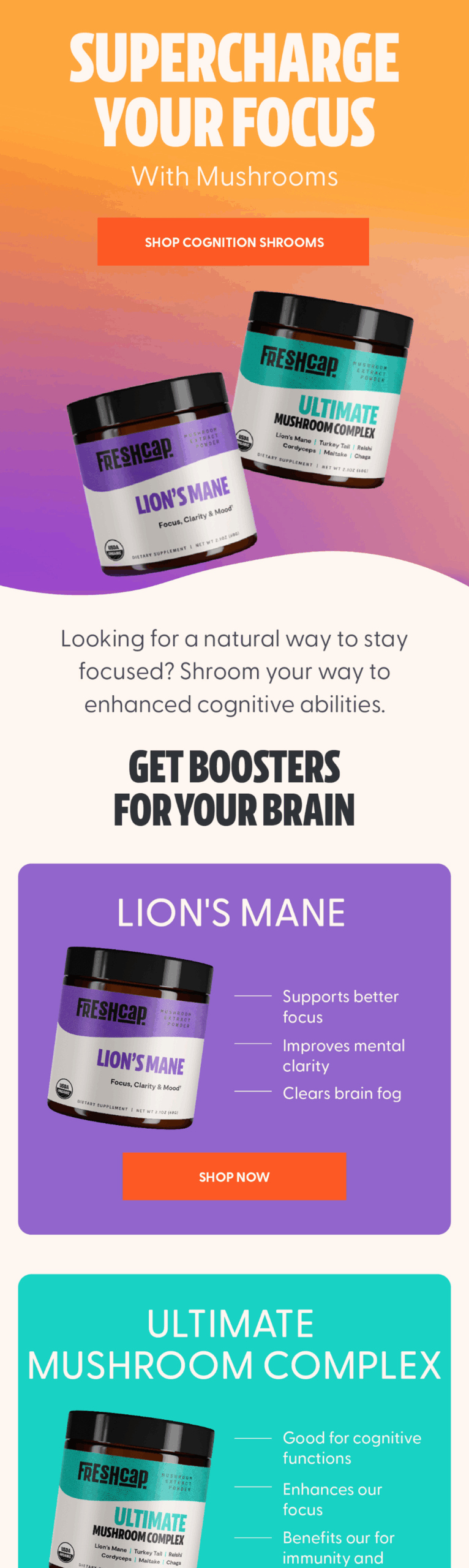 Best Shrooms To Elevate Your Focus